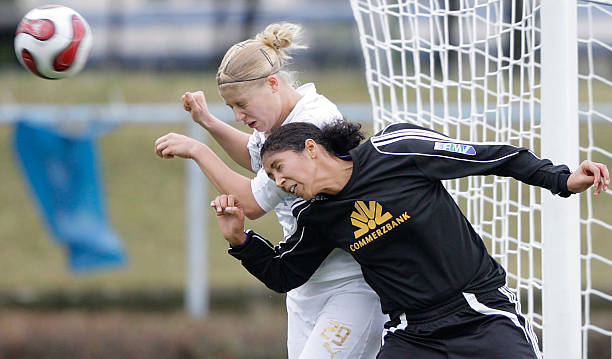 车队迎来了 车队迎来了