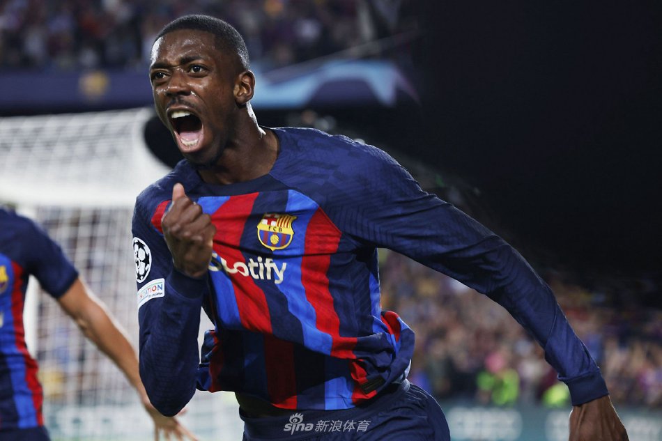 赛情况来看 赛情况来看